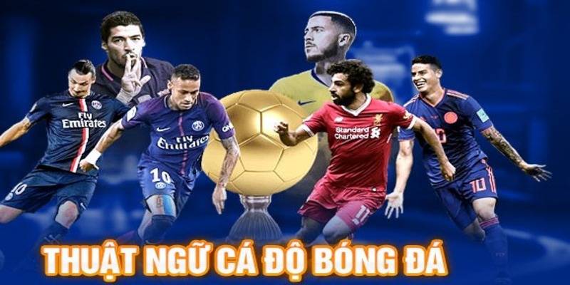 Các thuật ngữ trong cá độ bóng đá là gì?