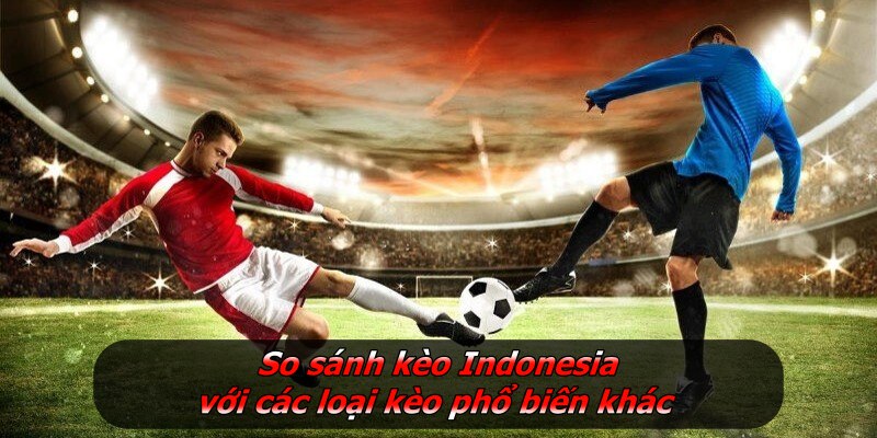 So sánh kèo Indonesia với các loại kèo phổ biến khác